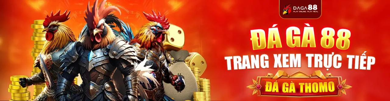 Sân đấu đá gà trực tuyến kịch tính tại BK8VIE trang chủ chính thức